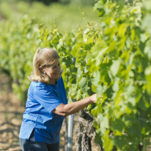 Winemaker Regine Sumeire, inventor of the modern rosé wine