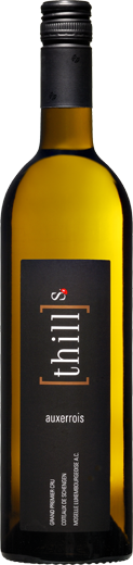 A00967-THILLS-AUXERROIS