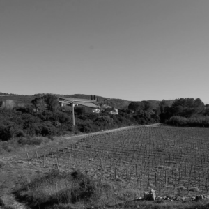 DOMAINE CANET VALETTE